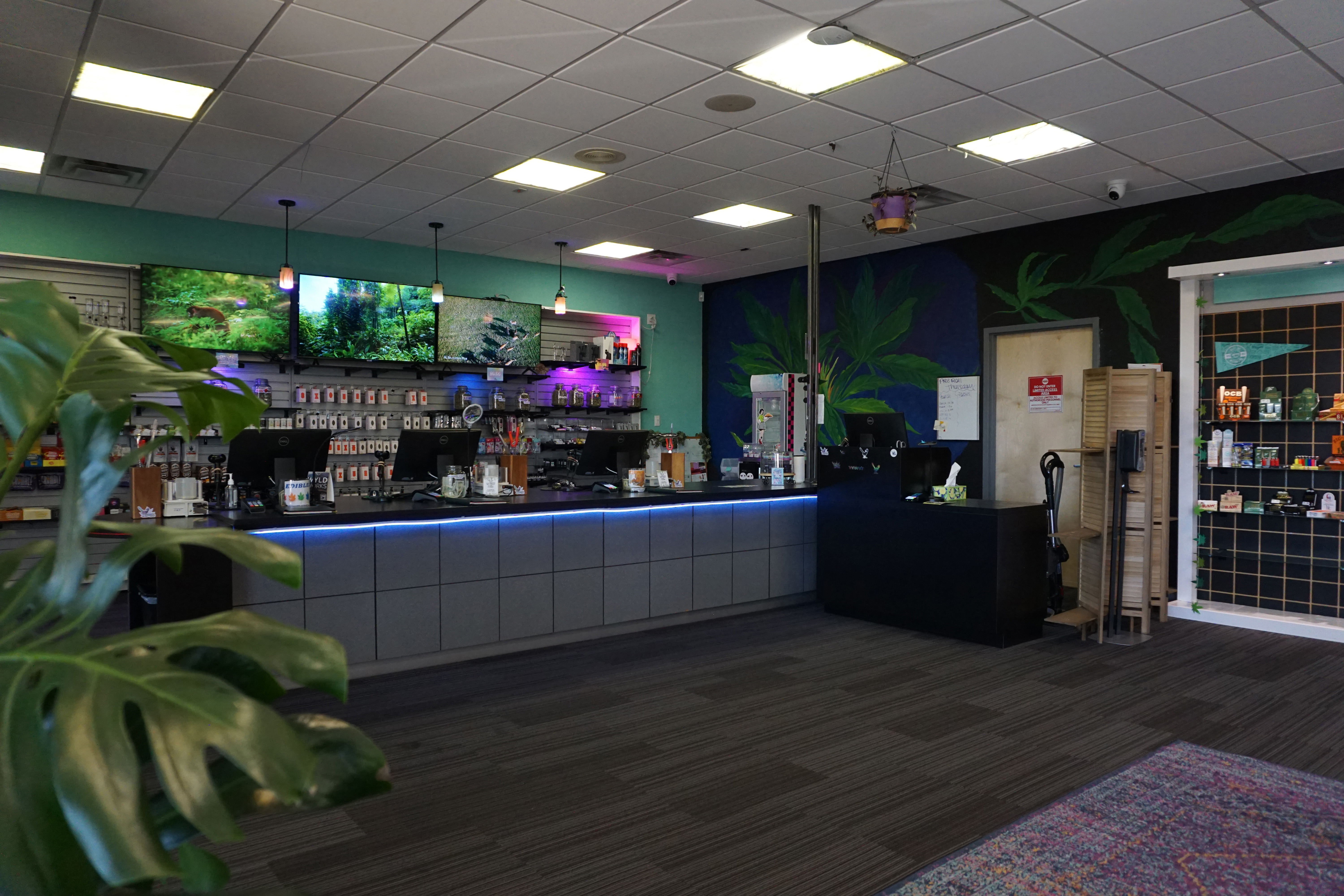 Store Image